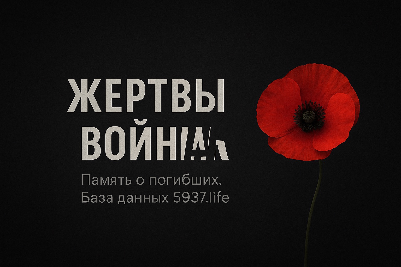 Важный проект автора